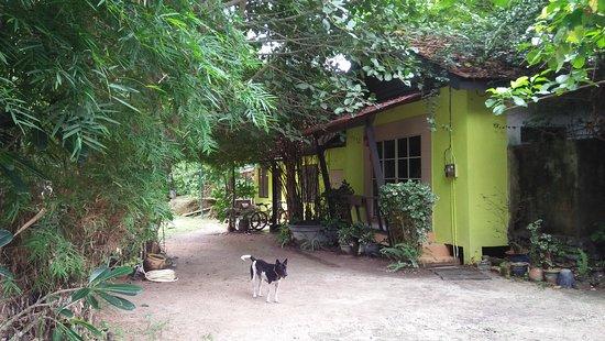 Rumah Holistic