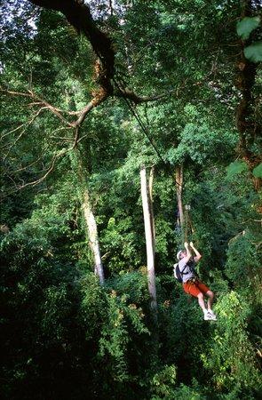 Langkawi Canopy Adventures