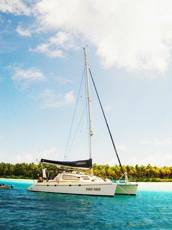 Mahi Mahi Sailing