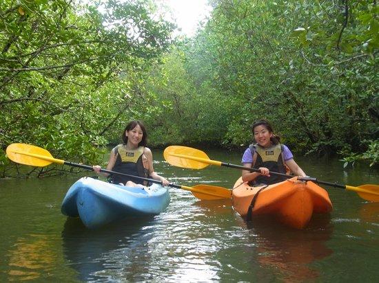 Kayak Tour - Langkawi Kayak